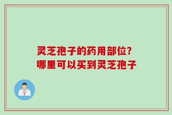 灵芝孢子的药用部位？哪里可以买到灵芝孢子
