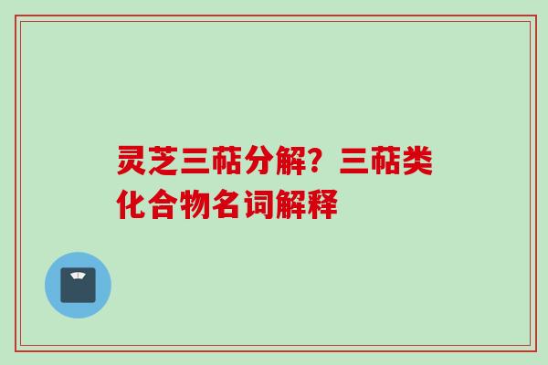 灵芝三萜分解?三萜类化合物名词解释 灵芝三萜分解?三萜类化合物名词解释