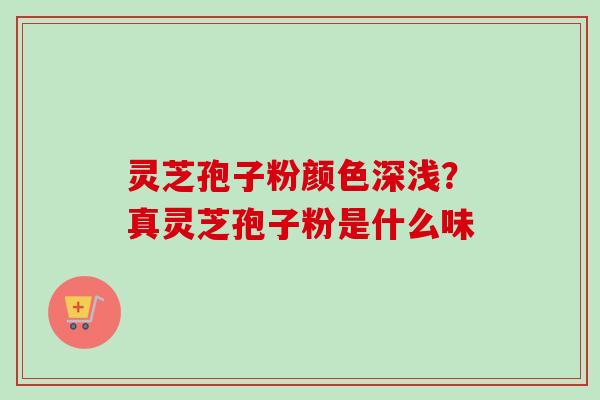 灵芝孢子粉颜色深浅？真灵芝孢子粉是什么味