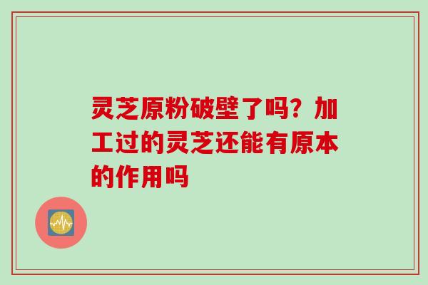 灵芝原粉破壁了吗？加工过的灵芝还能有原本的作用吗