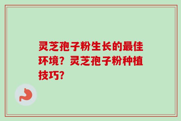 灵芝孢子粉生长的最佳环境？灵芝孢子粉种植技巧？