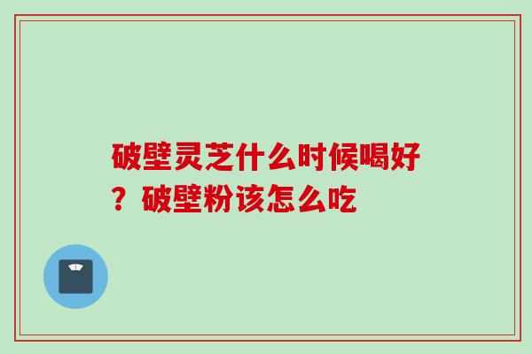 破壁灵芝什么时候喝好?破壁粉该怎么吃 破壁灵芝什么时候喝好?破壁粉该怎么吃