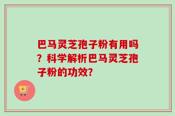 巴马灵芝孢子粉有用吗？科学解析巴马灵芝孢子粉的功效？