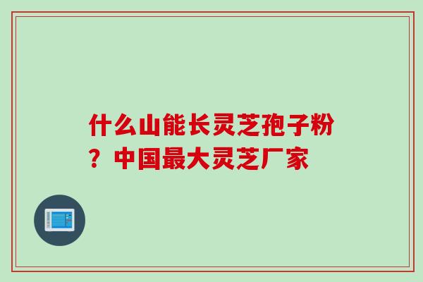 什么山能长灵芝孢子粉?中国大灵芝厂家 什么山能长灵芝孢子粉?中国大灵芝厂家