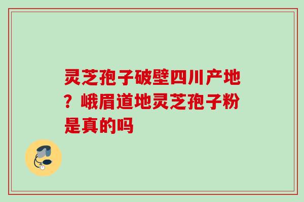 灵芝孢子破壁四川产地？峨眉道地灵芝孢子粉是真的吗