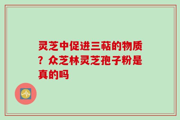 灵芝中促进三萜的物质？众芝林灵芝孢子粉是真的吗