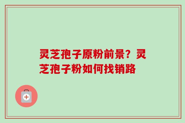 灵芝孢子原粉前景？灵芝孢子粉如何找销路