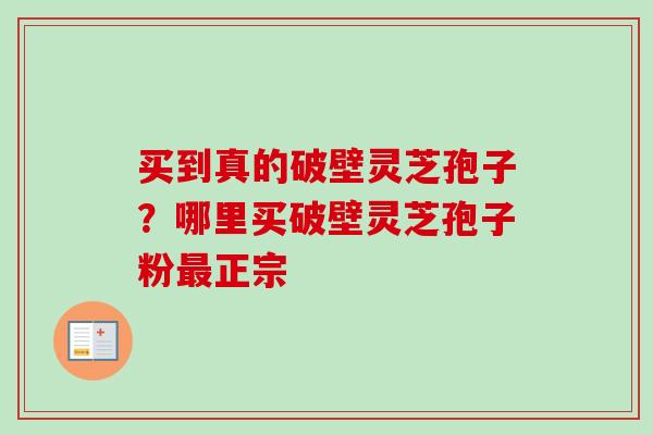 买到真的破壁灵芝孢子？哪里买破壁灵芝孢子粉最正宗