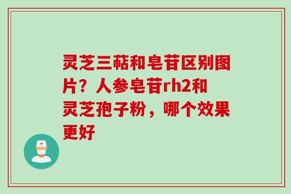 灵芝三萜和皂苷区别图片？人参皂苷rh2和灵芝孢子粉，哪个效果更好