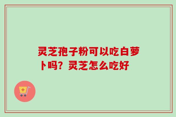 灵芝孢子粉可以吃白萝卜吗?灵芝怎么吃好 灵芝孢子粉可以吃白萝卜吗?灵芝怎么吃好