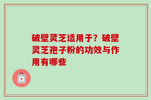 破壁灵芝适用于？破壁灵芝孢子粉的功效与作用有哪些