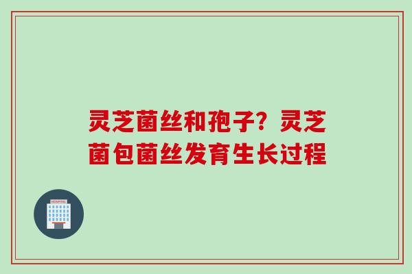 灵芝菌丝和孢子？灵芝菌包菌丝发育生长过程