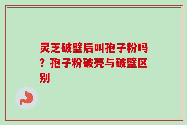 灵芝破壁后叫孢子粉吗？孢子粉破壳与破壁区别