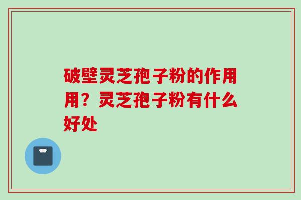 破壁灵芝孢子粉的作用用？灵芝孢子粉有什么好处