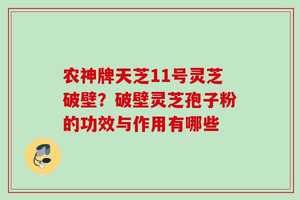 农神牌天芝11号灵芝破壁？破壁灵芝孢子粉的功效与作用有哪些