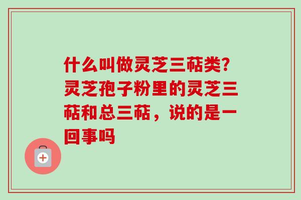 什么叫做灵芝三萜类？灵芝孢子粉里的灵芝三萜和总三萜，说的是一回事吗