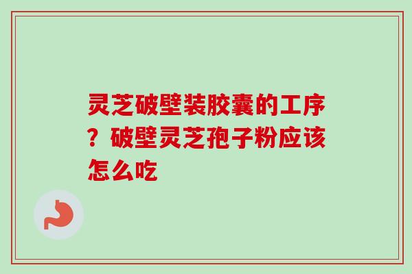 灵芝破壁装胶囊的工序？破壁灵芝孢子粉应该怎么吃