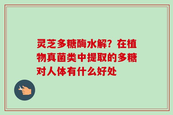 灵芝多糖酶水解？在植物真菌类中提取的多糖对人体有什么好处