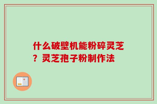 什么破壁机能粉碎灵芝？灵芝孢子粉制作法