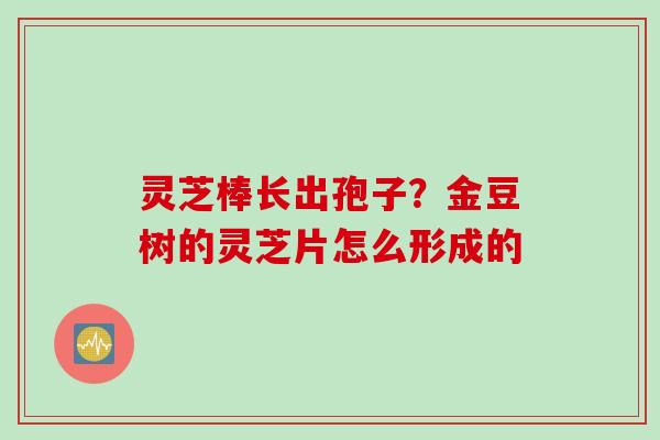 灵芝棒长出孢子？金豆树的灵芝片怎么形成的