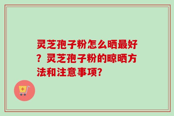 灵芝孢子粉怎么晒最好？灵芝孢子粉的晾晒方法和注意事项？