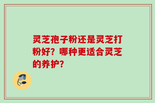 灵芝孢子粉还是灵芝打粉好？哪种更适合灵芝的养护？