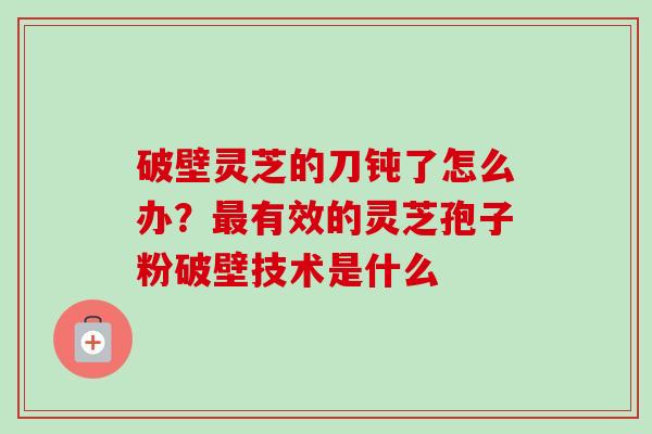 破壁灵芝的刀钝了怎么办？最有效的灵芝孢子粉破壁技术是什么