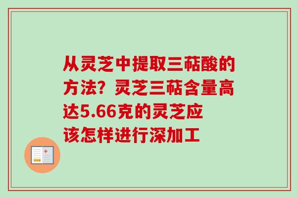从灵芝中提取三萜酸的方法？灵芝三萜含量高达5.66克的灵芝应该怎样进行深加工