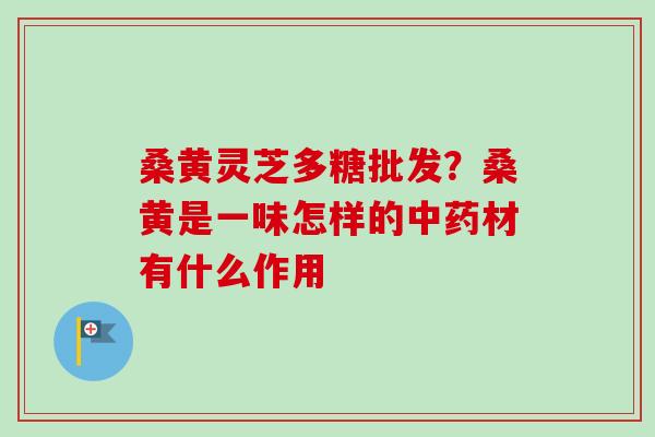 桑黄灵芝多糖批发？桑黄是一味怎样的中药材有什么作用