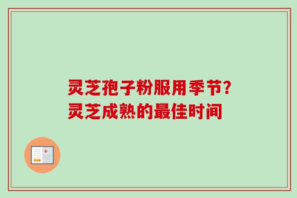 灵芝孢子粉服用季节？灵芝成熟的最佳时间