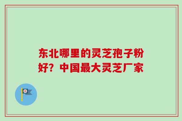 东北哪里的灵芝孢子粉好？中国最大灵芝厂家