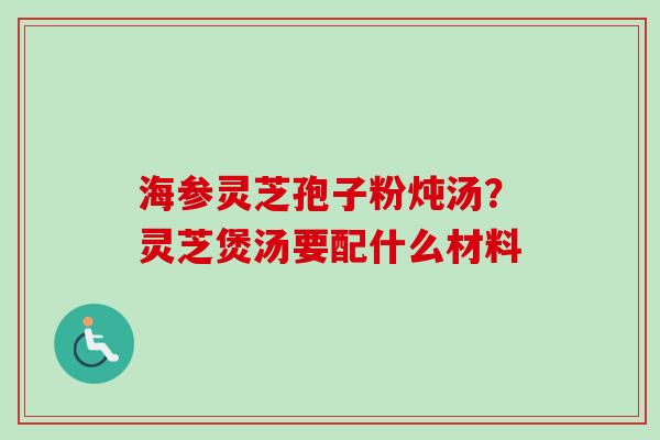 海参灵芝孢子粉炖汤？灵芝煲汤要配什么材料