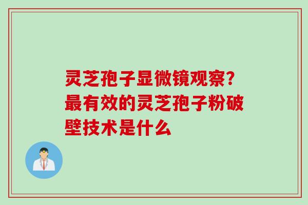 灵芝孢子显微镜观察？最有效的灵芝孢子粉破壁技术是什么