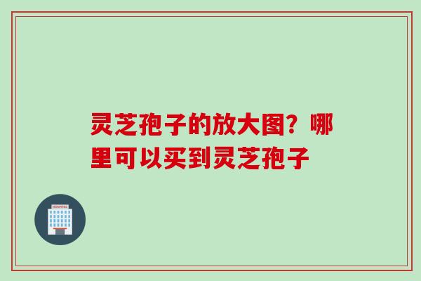 灵芝孢子的放大图？哪里可以买到灵芝孢子