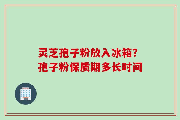灵芝孢子粉放入冰箱？孢子粉保质期多长时间