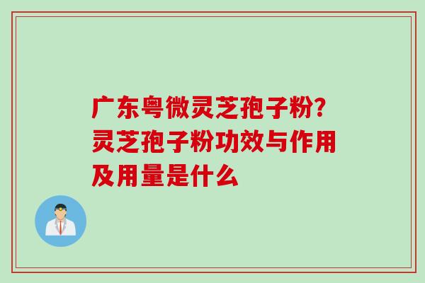 广东粤微灵芝孢子粉？灵芝孢子粉功效与作用及用量是什么
