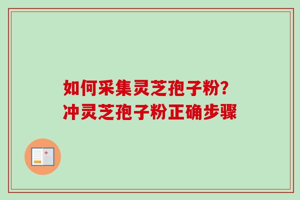 如何采集灵芝孢子粉？冲灵芝孢子粉正确步骤
