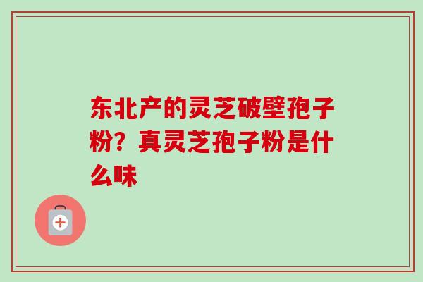 东北产的灵芝破壁孢子粉？真灵芝孢子粉是什么味