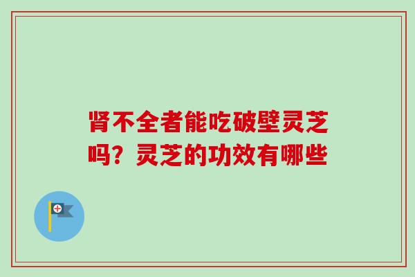 肾不全者能吃破壁灵芝吗？灵芝的功效有哪些