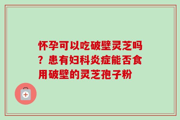 怀孕可以吃破壁灵芝吗？患有妇科炎症能否食用破壁的灵芝孢子粉