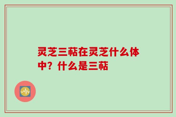 灵芝三萜在灵芝什么体中？什么是三萜