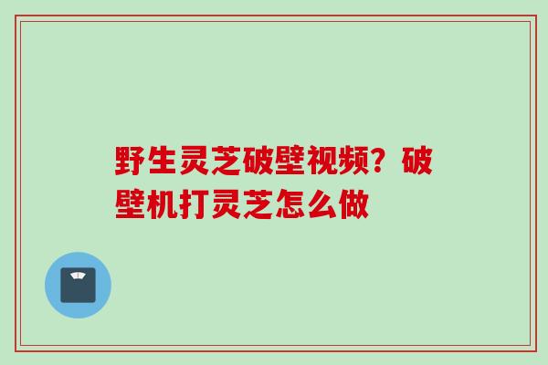 野生灵芝破壁视频?破壁机打灵芝怎么做 野生灵芝破壁视频?破壁机打灵芝怎么做
