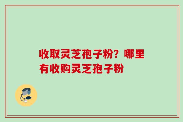 收取灵芝孢子粉？哪里有收购灵芝孢子粉