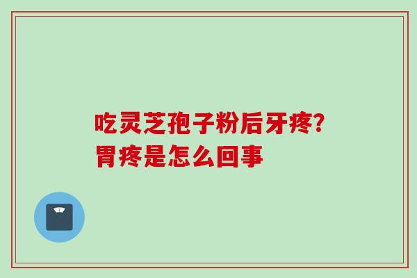 吃灵芝孢子粉后牙疼？胃疼是怎么回事