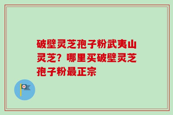 破壁灵芝孢子粉武夷山灵芝？哪里买破壁灵芝孢子粉最正宗