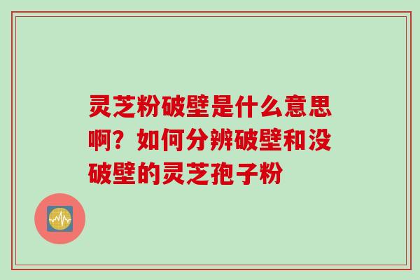 灵芝粉破壁是什么意思啊？如何分辨破壁和没破壁的灵芝孢子粉