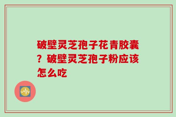 破壁灵芝孢子花青胶囊？破壁灵芝孢子粉应该怎么吃