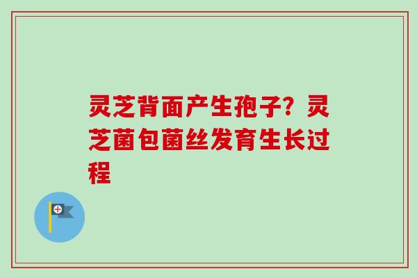 灵芝背面产生孢子？灵芝菌包菌丝发育生长过程
