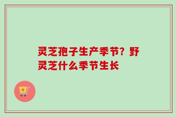 灵芝孢子生产季节？野灵芝什么季节生长