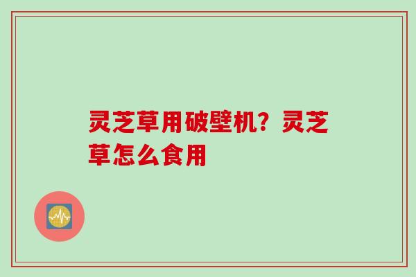 灵芝草用破壁机？灵芝草怎么食用